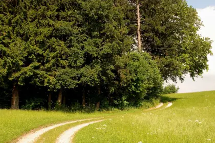 Suche Wiesengrund 1.500 m² bis 2.000 m² zum Pachten