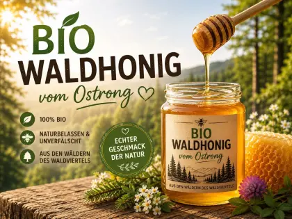 Verkaufe Bio-Waldhonig vom Ostrong