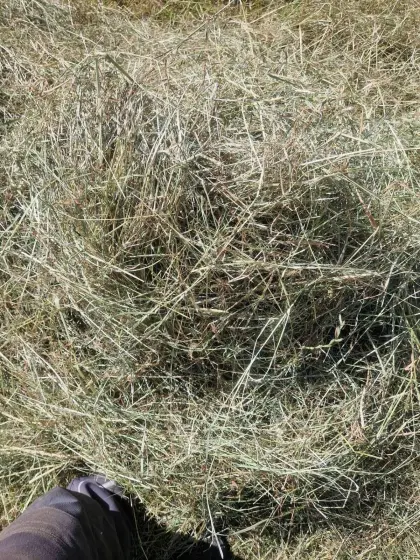 Bio-Heuballen klein