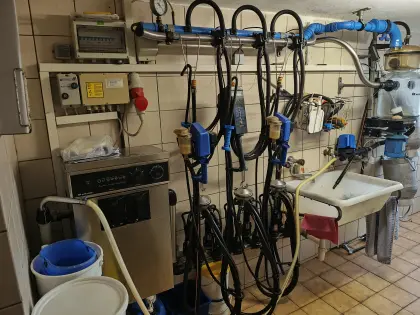 Melktechnik, Rohrmelkanlage, Waschautomat, Melkzeug