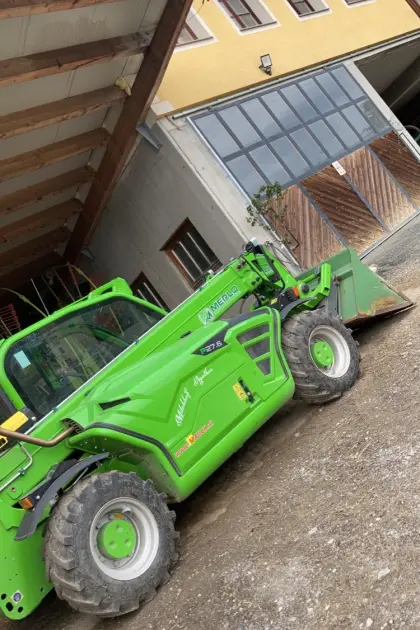 Merlo