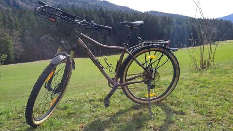 Damenfahrrad Backfire Air Pro 800