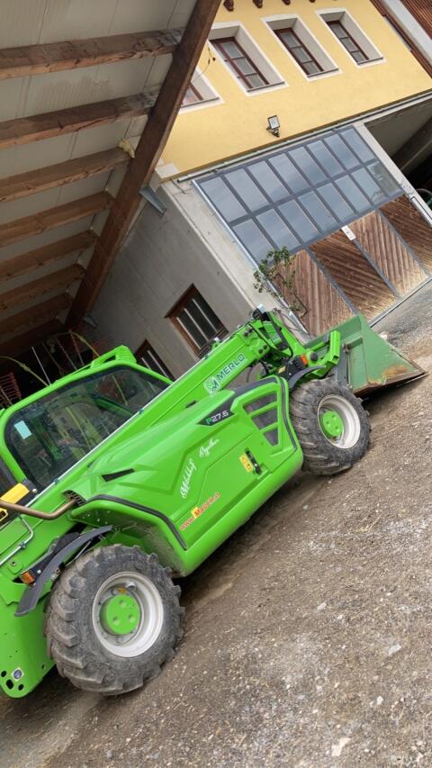 Merlo