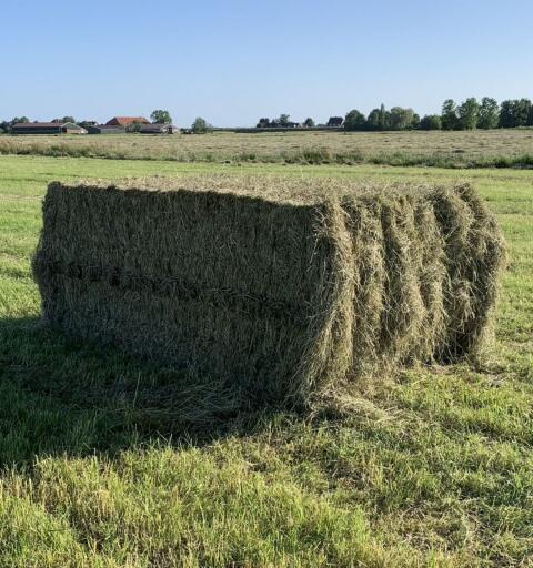 Heuballen gesucht