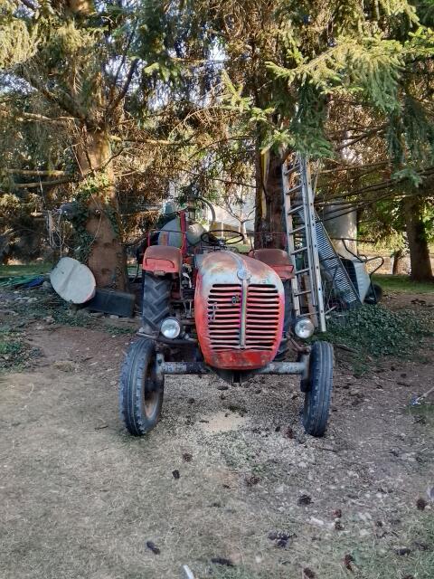 Steyr Typ 188