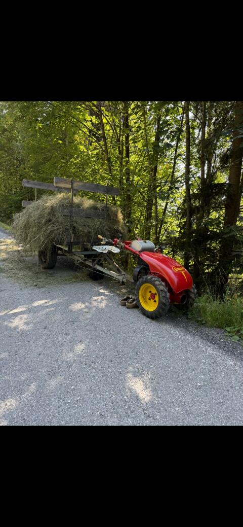Rapid Motormäher