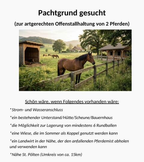 Suche Pachtgrund zur Pferdehaltung