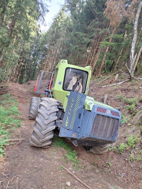 WF-TRAC 2460 6x6 MK mit Forwarder-Kran, Doppeltrommelwind