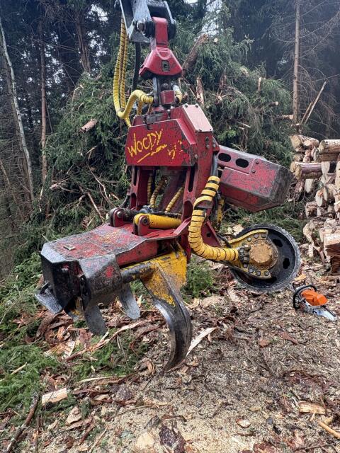 Woody 50