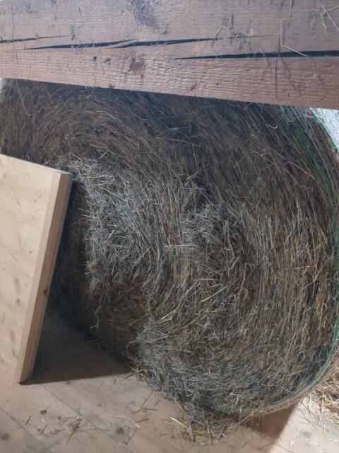 Heuballen, grober erster Schnitt