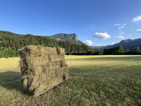 Bohinjska Bela 7, 4263 Bohinjska Bela, Slovenija