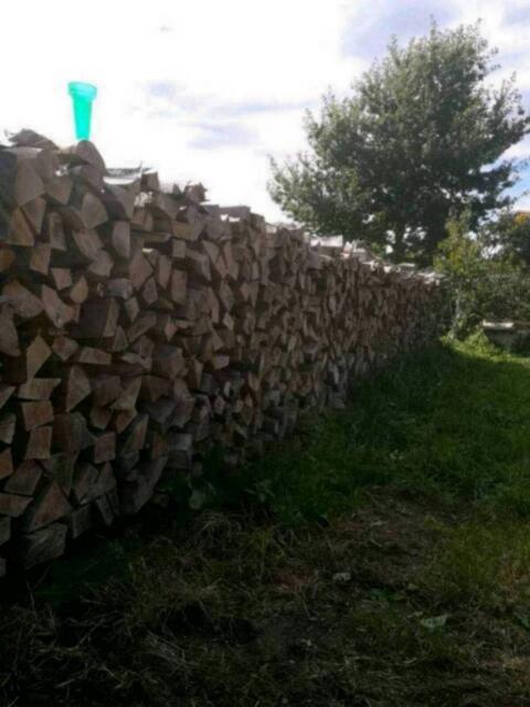 Buchenbrennholz