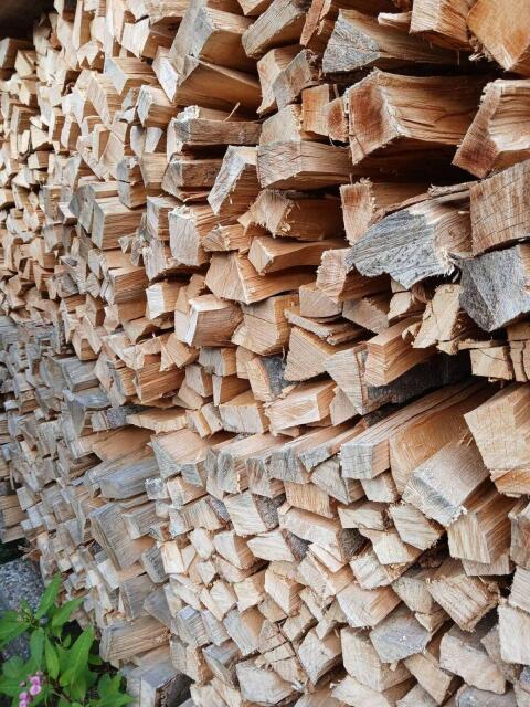 Buchen-Brennholz