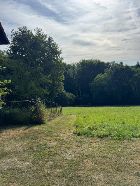 Landwirtschaftliche Fläche inkl. Stall zu verpachten