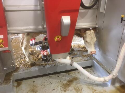 Gesucht: Lely Astronaut A3 oder A4, Discovery Collector