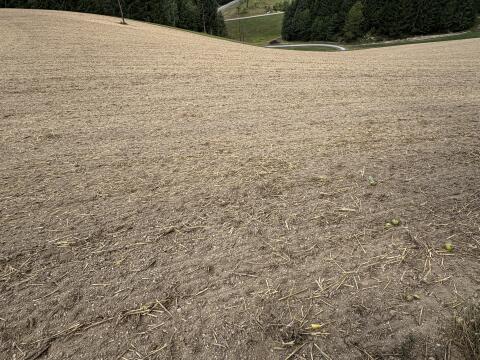 Acker und Wald zu verkaufen