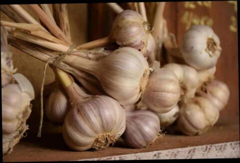 Knoblauch € 9,5,-/kg