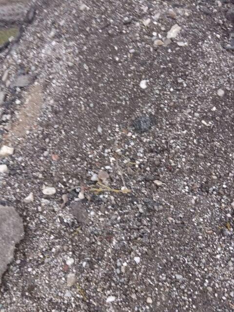 Asphaltbruch