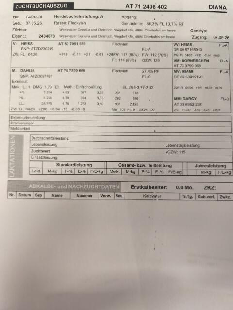 Verkaufe FL/RF Kälber mit Milchleistung