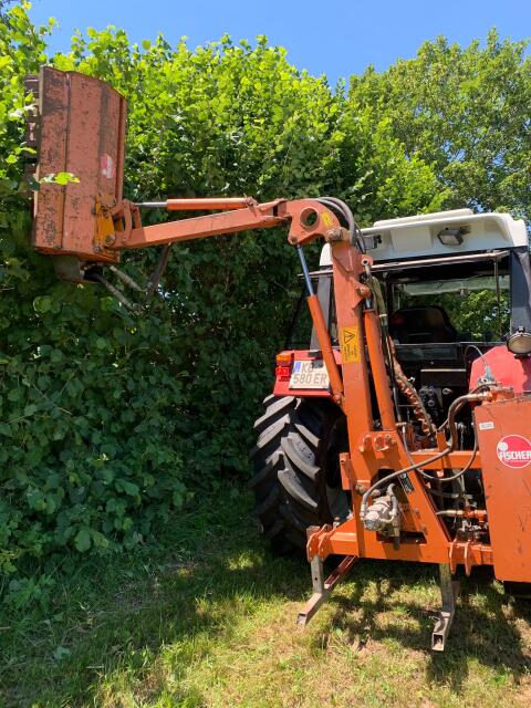 Fischer Auslegemulcher