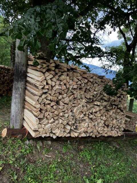 Brennholz