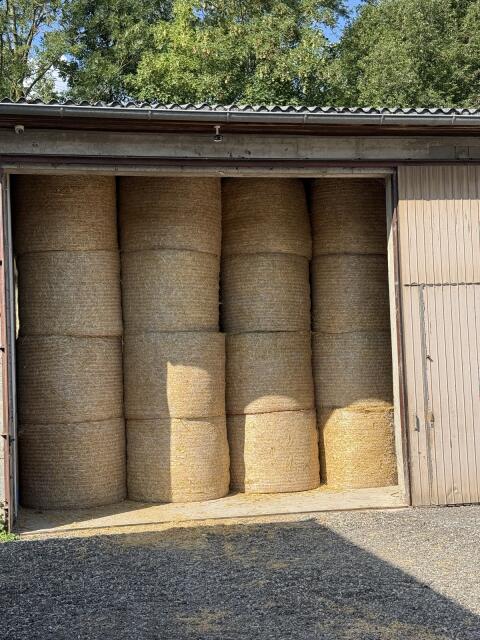 Stroh-Rundballen