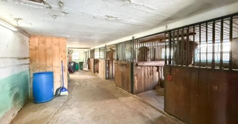 Vermiete Stall