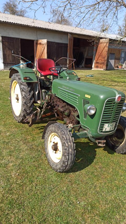 HELA D434 Traktor (1965), 34 PS, Familienbesitz