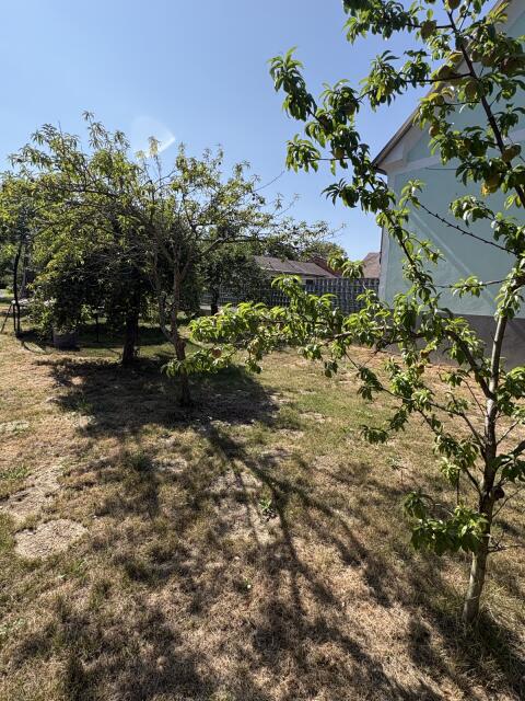 Kleiner, feiner Obstgarten zu verpachten