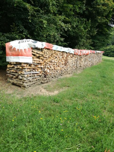 Buchenholz