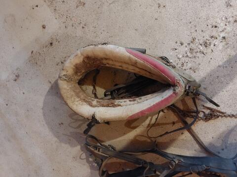 Pferdezubehör