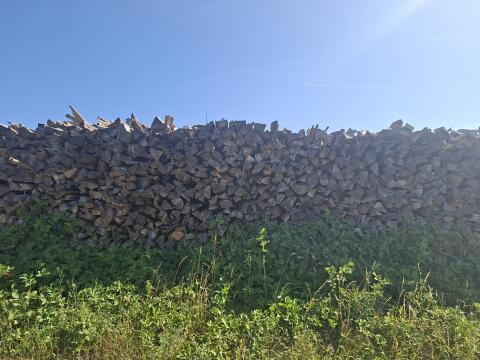 Buchenbrennholz