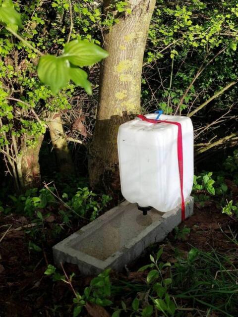 Wassertränken, Hühnertränken