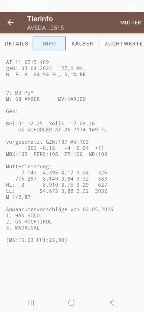 2 Bio-Kalbinnen, hochträchtig