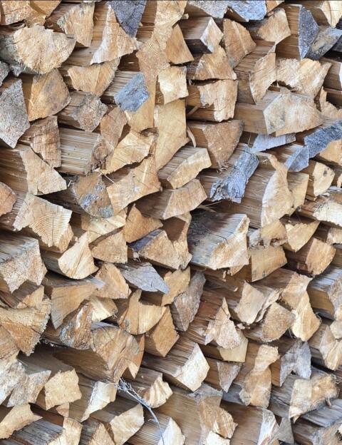Brennholz Fichte, trocken