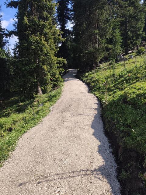 Wegsanierung, Wegebau, Barfußweg