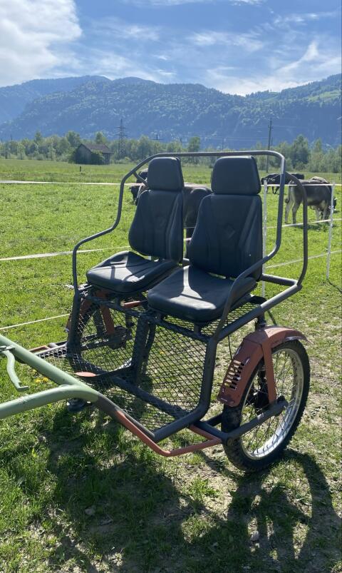 Kutsche zu verkaufen, Verhandlungsbasis