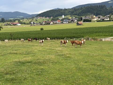 Fresser, Einsteller