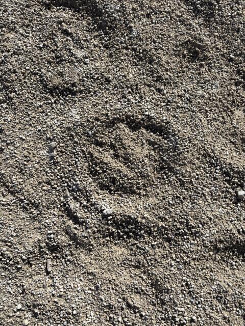 0/4 Sand