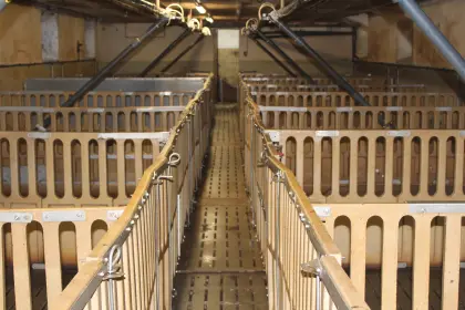 Verschenke Mastschweineaufstallung