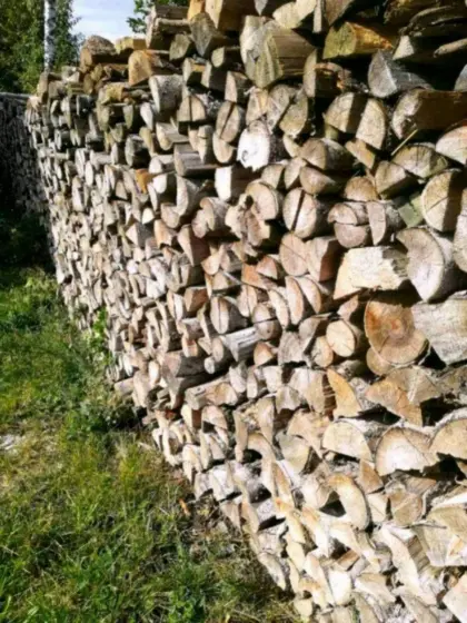 Fichtenbrennholz