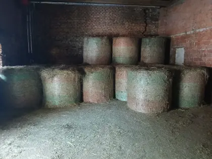 Heuballen zu verkaufen