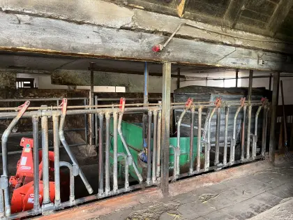 Schauer Aufstallung