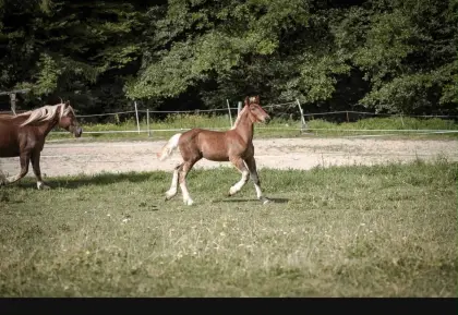 Auf der Suche nach Herzensmensch❤