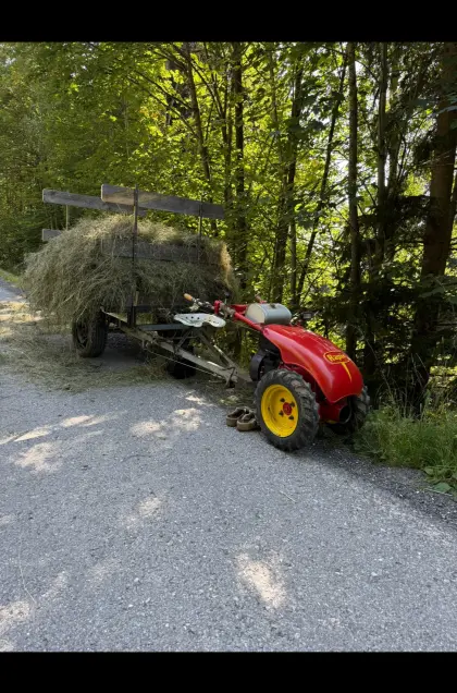 Rapid Motormäher