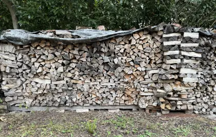 Brennholz