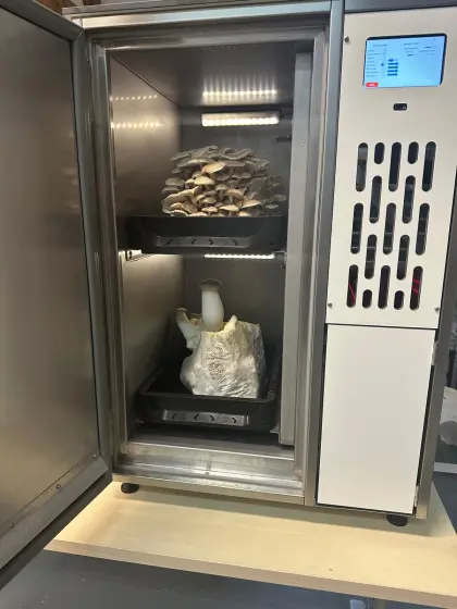 Pilzautomat LUSHROOM HOME weiß