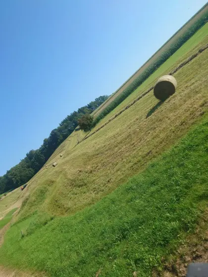 Heu, Schnitt 3, Schnitt 2025