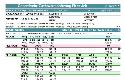 Zuchtstier Fleckvieh Mukkistar Pp