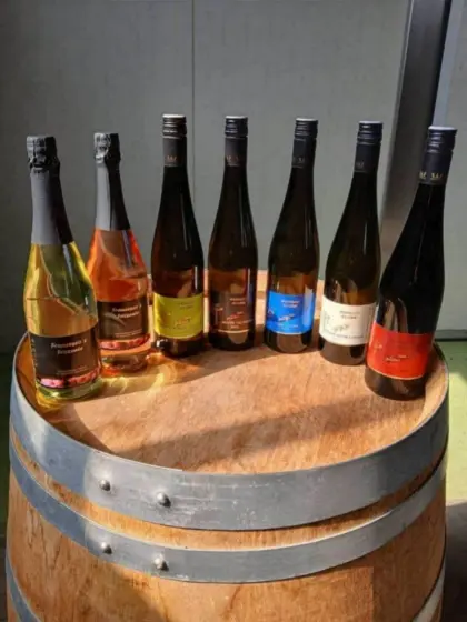 Weine Wagram DAC 0,75 l, Jahrgang 2025